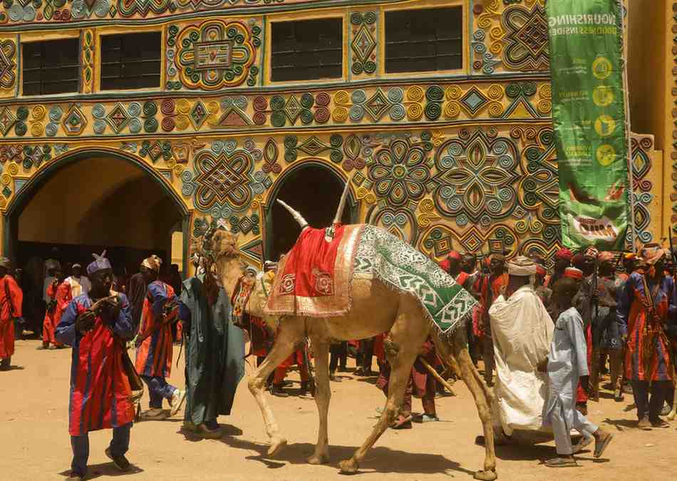 things to do in bikaner