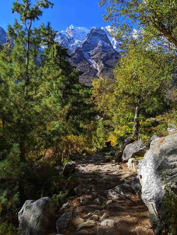 best places to visit in rishikesh